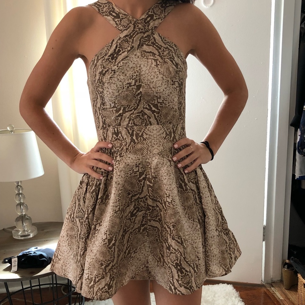 Snake Print Fit N Flare Dress